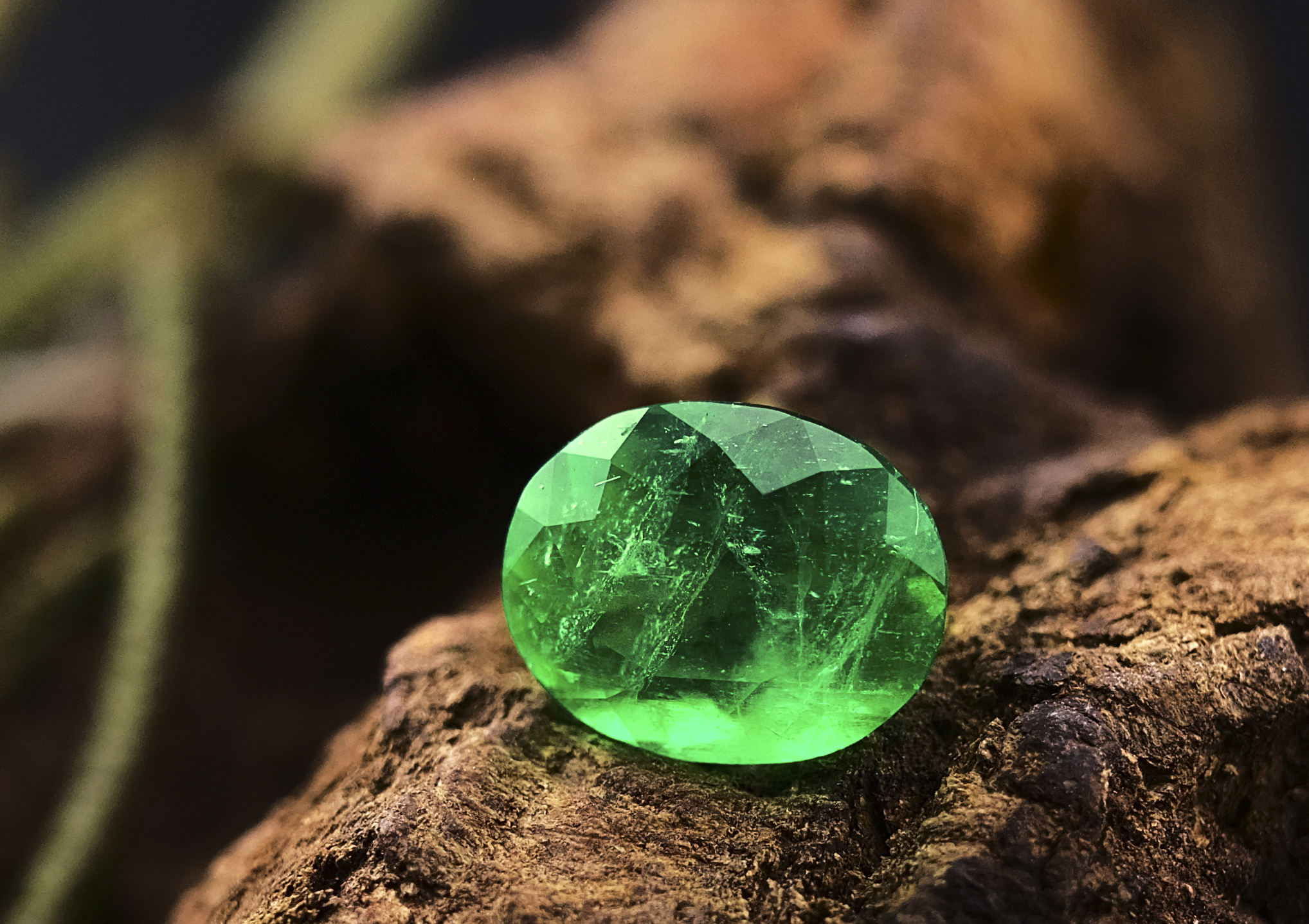 Large square Colombian emerald on driftwood