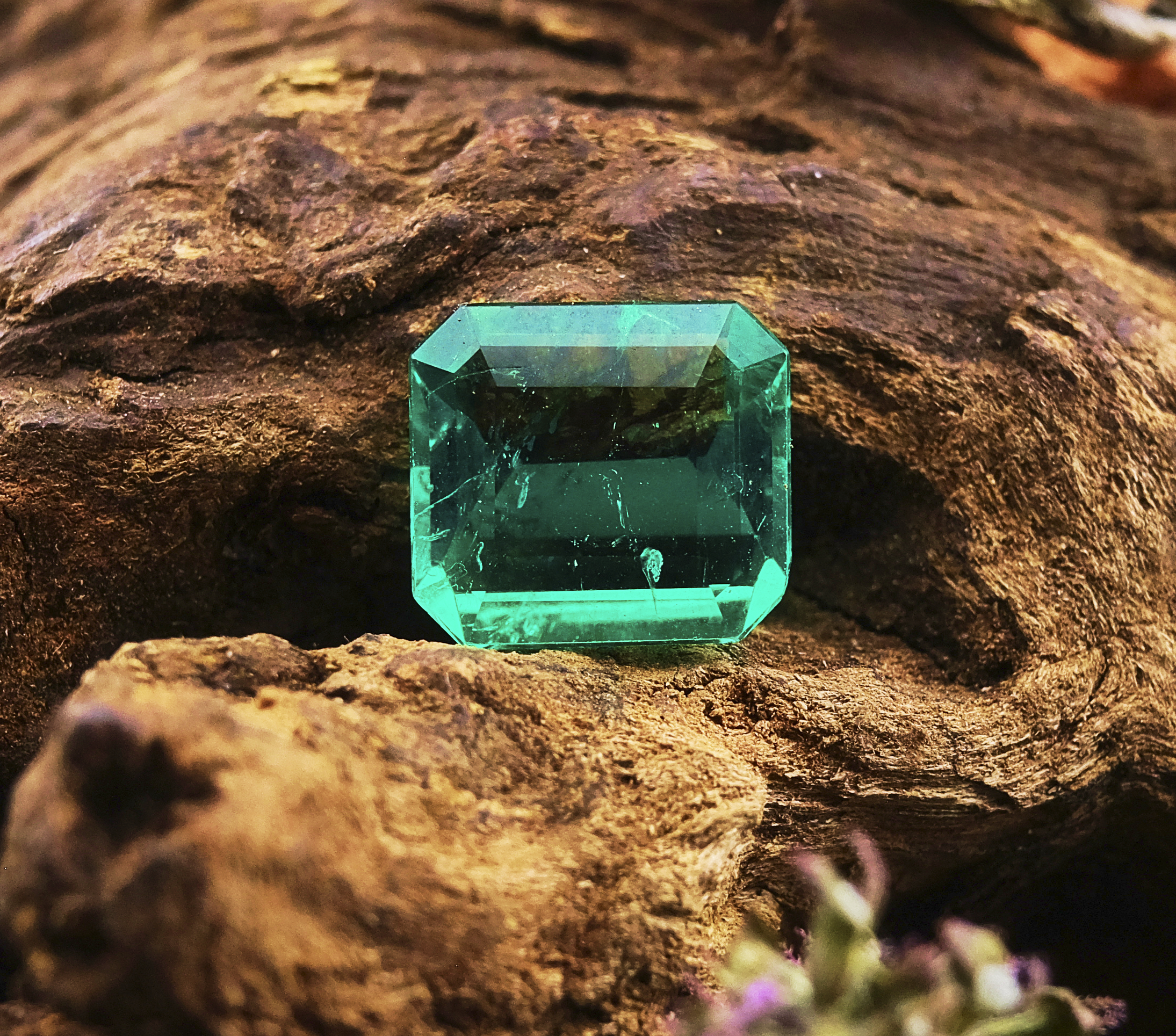Emerald-cut Colombian emerald on driftwood