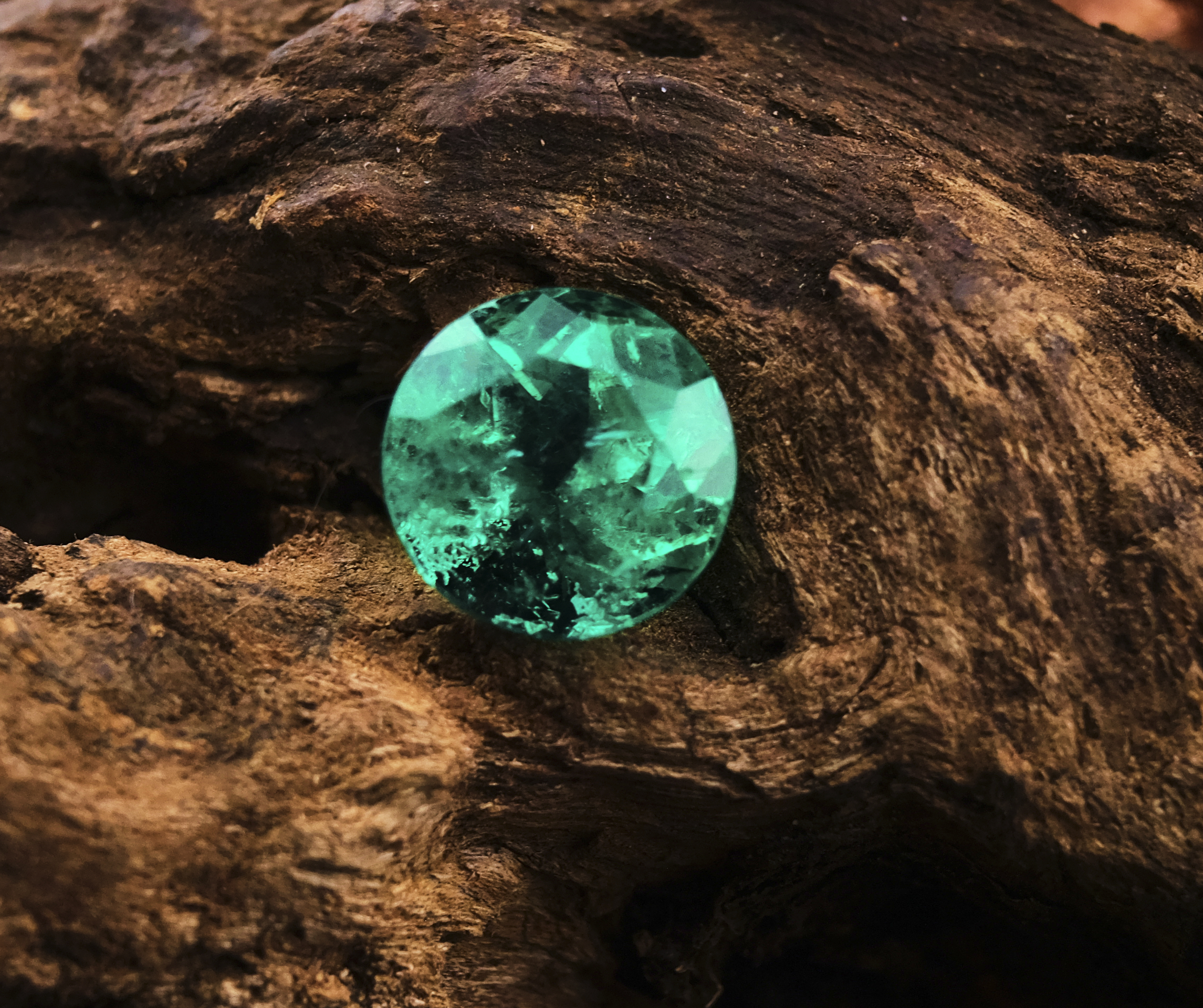 Round Colombian emerald on driftwood